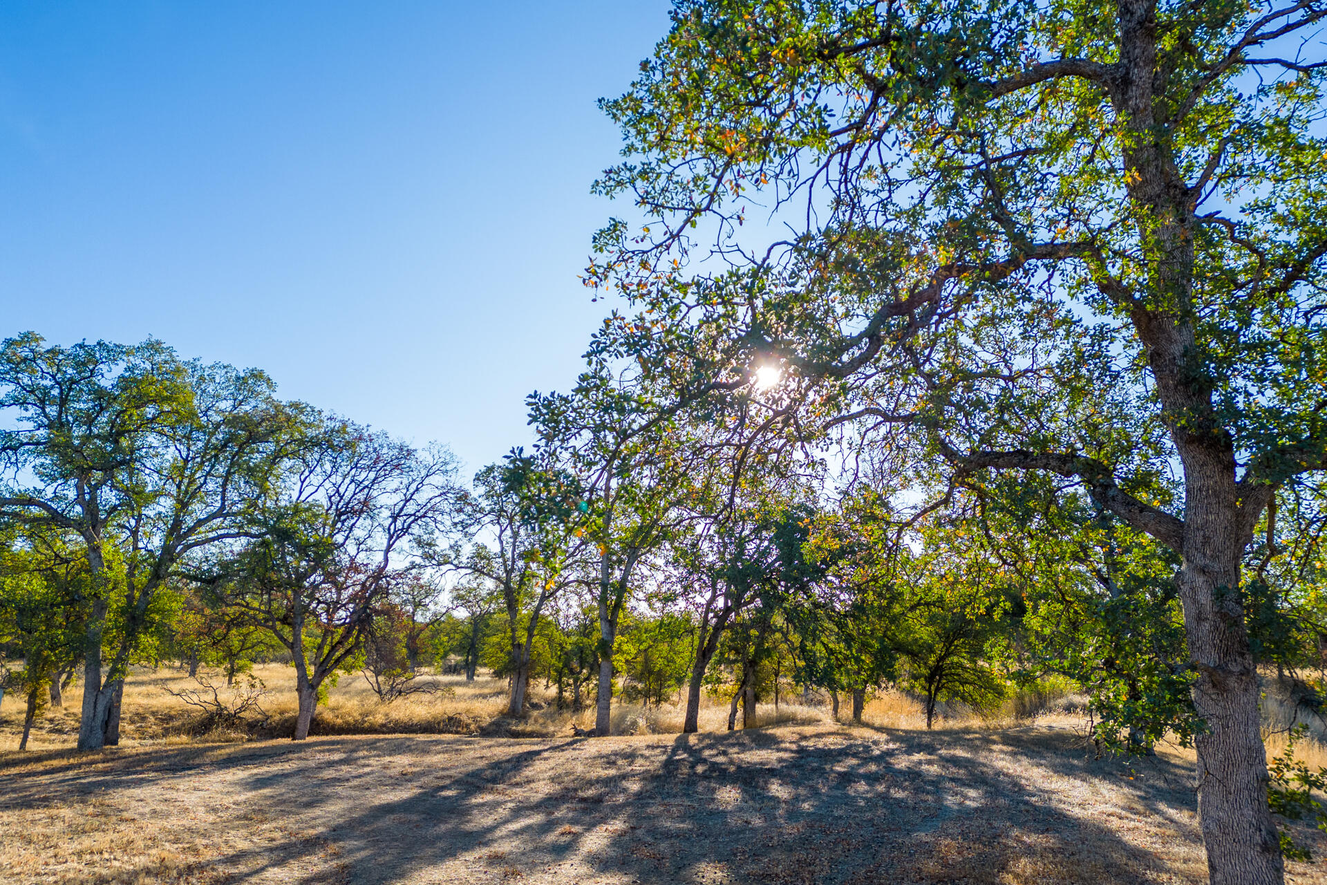 3871 Rancho Estates Road Cottonwood, CA 96022 - Photo 3 of 24 DJI_0187-HDR