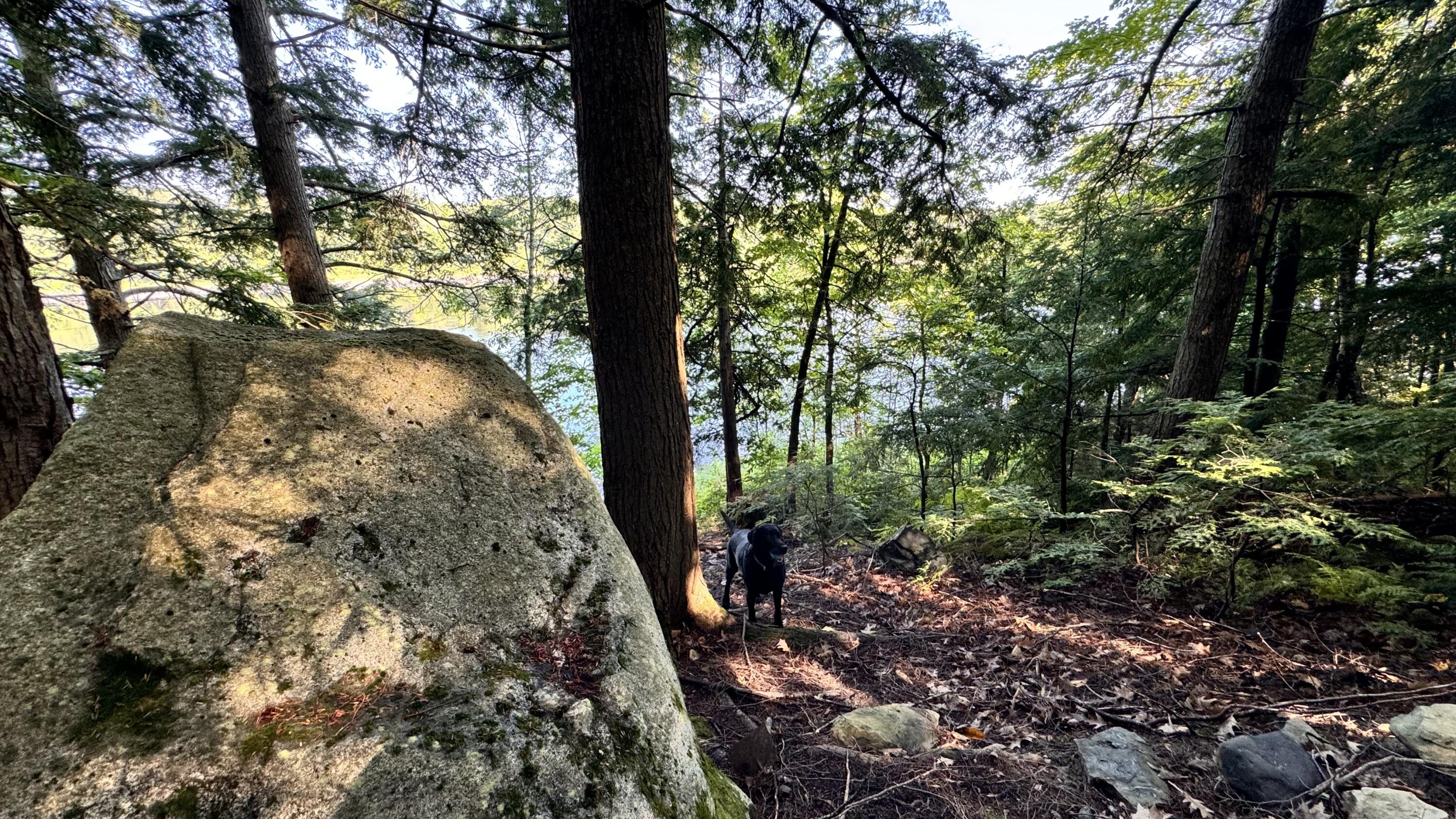 512 Riverside Drive Eddington, ME 04428 - Photo 18 of 21 IMG_1765