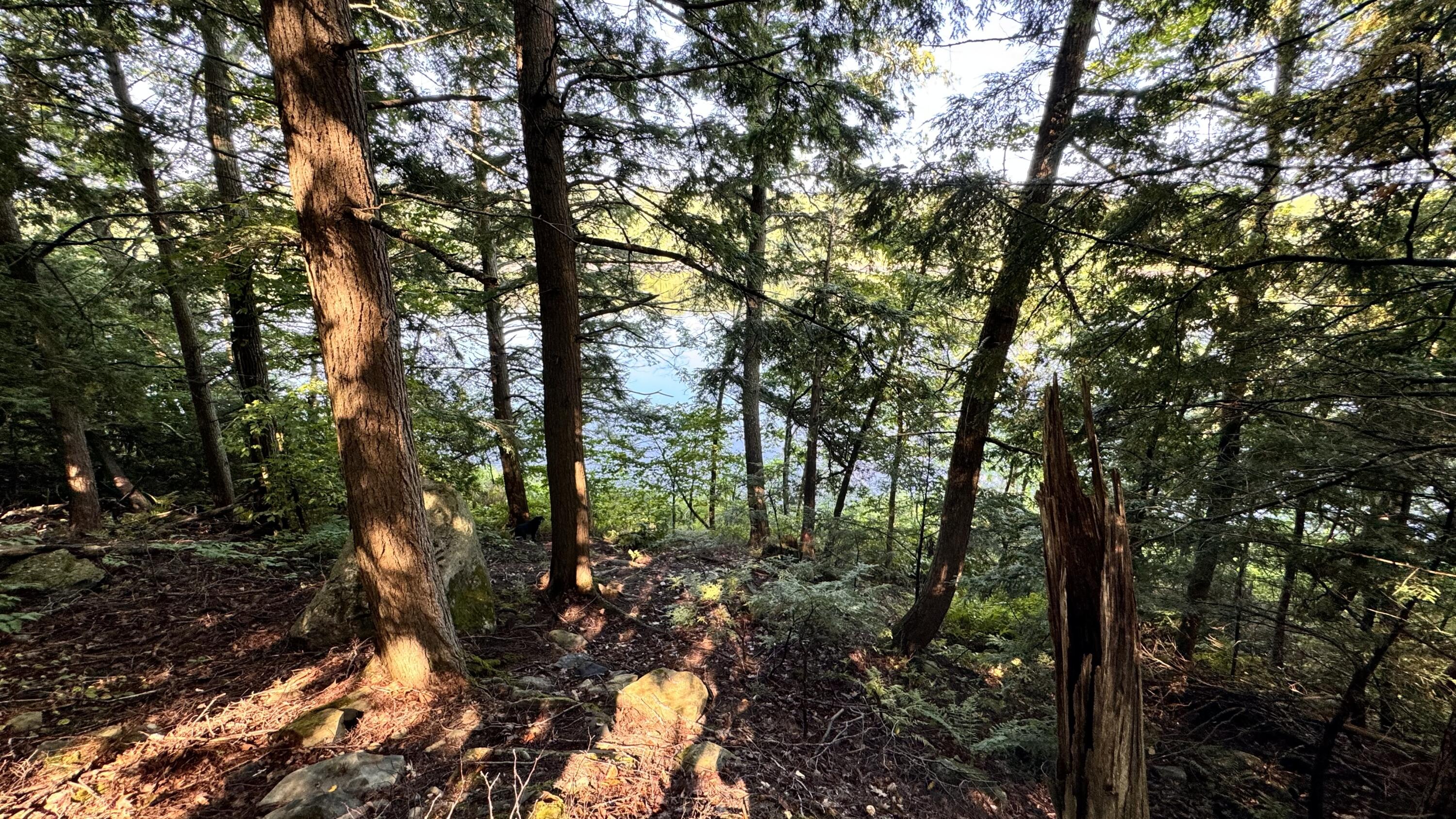 512 Riverside Drive Eddington, ME 04428 - Photo 19 of 21 IMG_1764