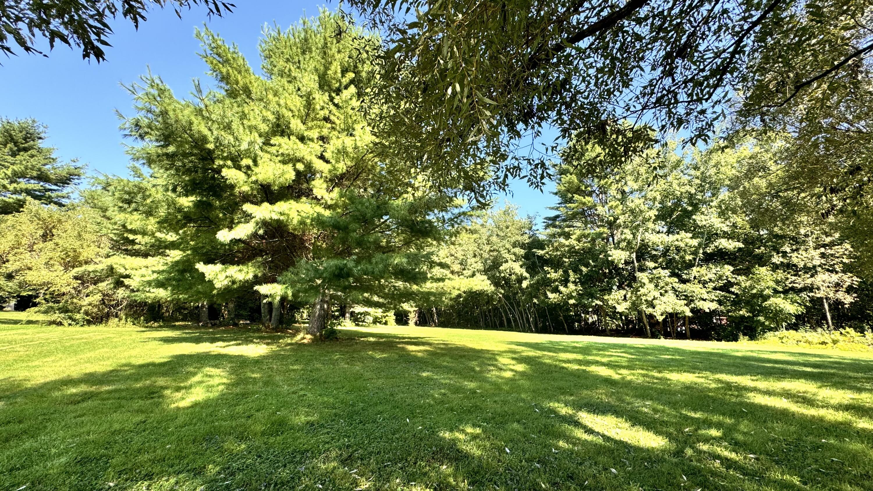 512 Riverside Drive Eddington, ME 04428 - Photo 6 of 21 IMG_1753