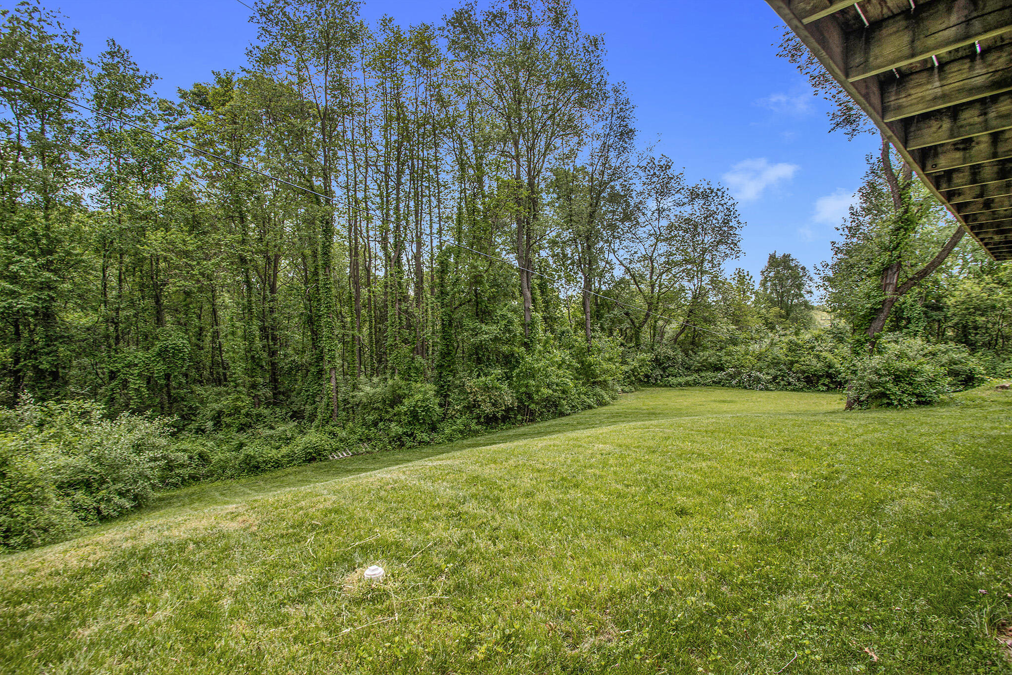 19102 Jessup Road Battle Creek, MI 49014 - Photo 6 of 25 19102 Jessup-39
