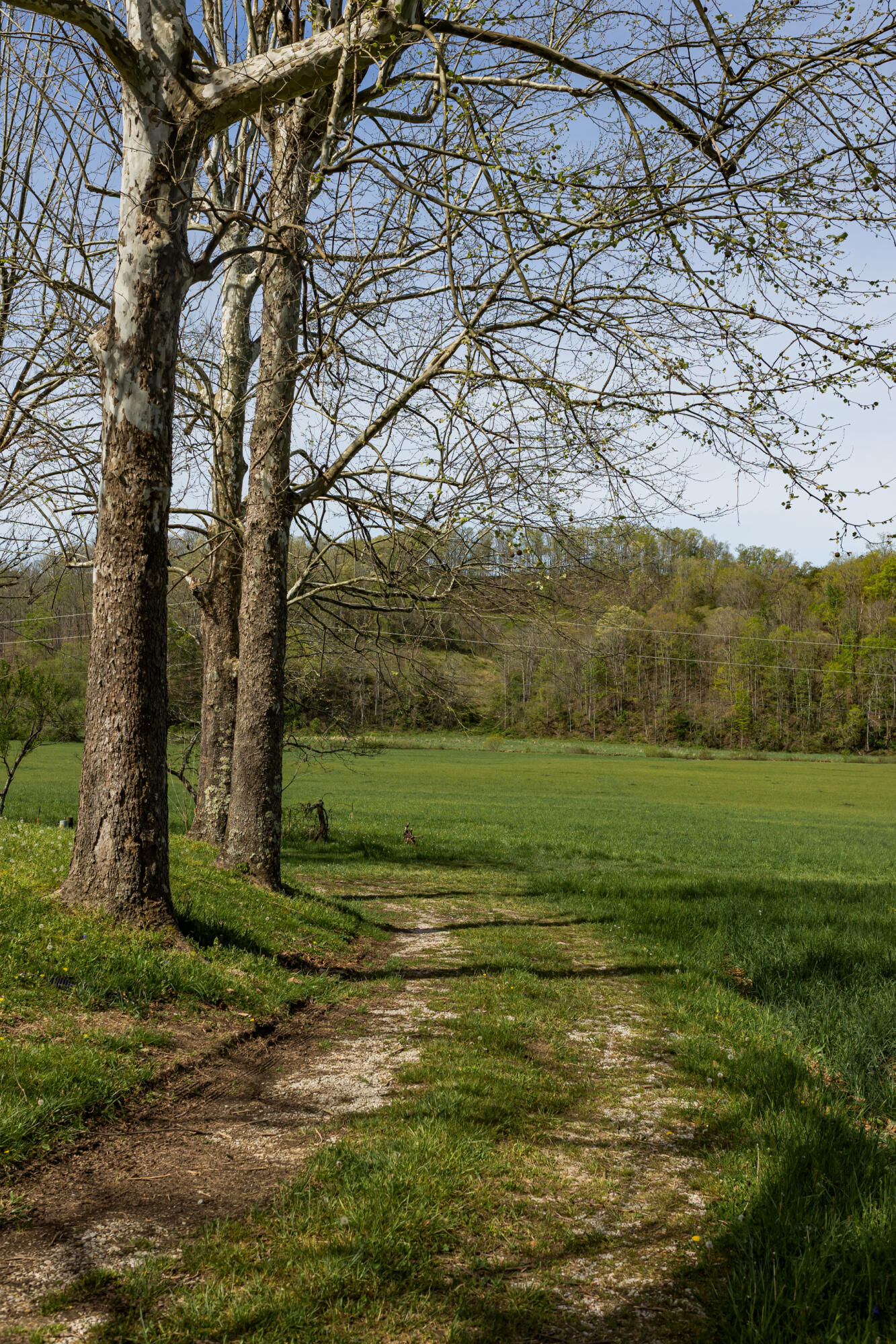 534 Lower Gilmore Road Campton, KY 41301 - Photo 29 of 80 FO7A1571