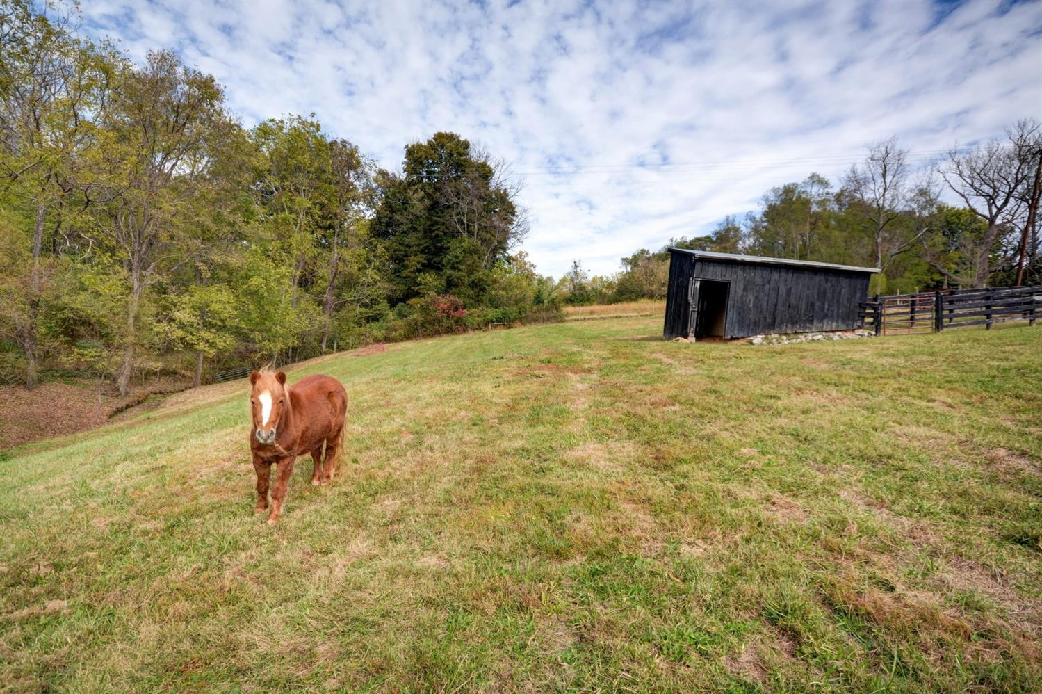 2625 Miller Hunt Road Winchester, KY 40391 - Photo 33 of 44 Listing Photo