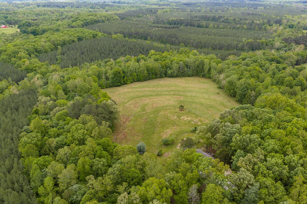 3537 Hardy Road Keysville, VA 23947 - Photo 54 of 80 Gallery Image 54