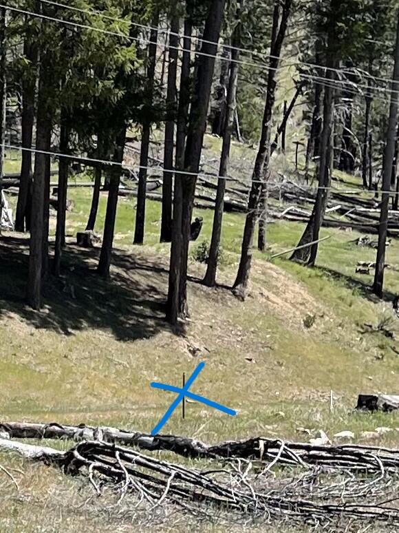 300 Cedar Gap Road Mad River, CA 95552 - Photo 10 of 11
