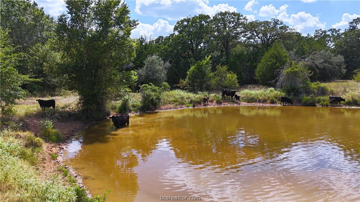 8 & 13) Road Paige, TX 78659 - Photo 8 of 22 Gallery Image 8