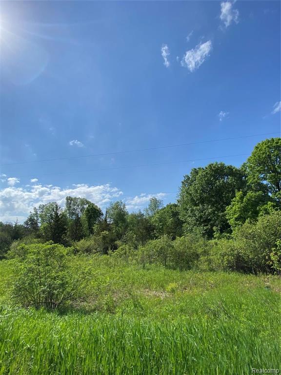 0 Kaiser Road Gregory, MI 48137 - Photo 12 of 29
