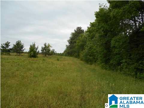 Marvin Adcock Road, Unit 31 Hayden, AL 35079 - Photo 1 of 6