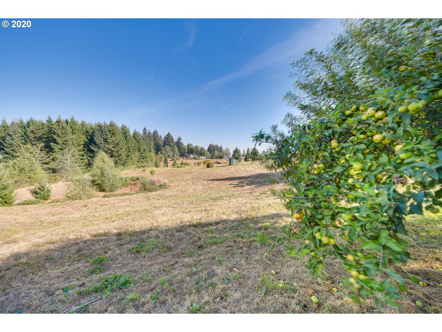 24241 South Larkin Road Beavercreek, OR 97004 - Photo 21 of 32 Gallery Image 21