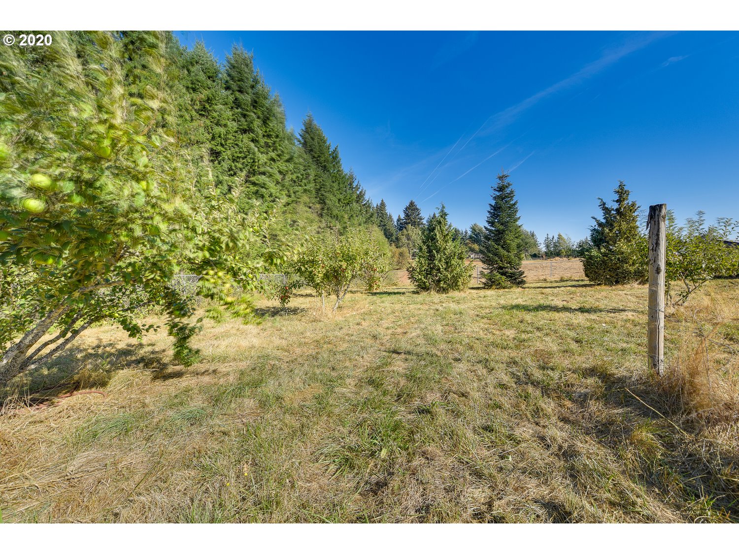 24241 South Larkin Road Beavercreek, OR 97004 - Photo 23 of 32 Gallery Image 23