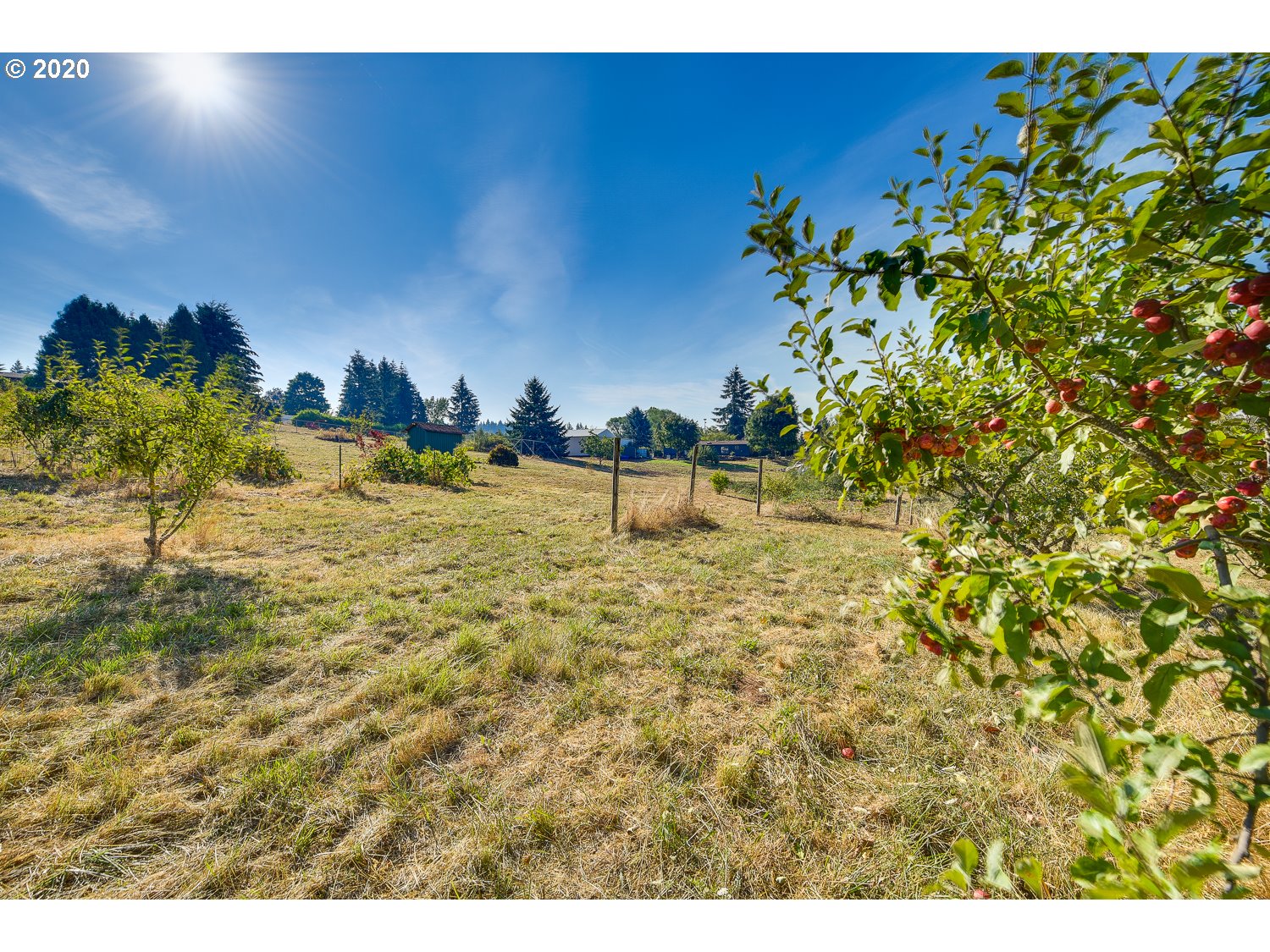 24241 South Larkin Road Beavercreek, OR 97004 - Photo 24 of 32 Gallery Image 24
