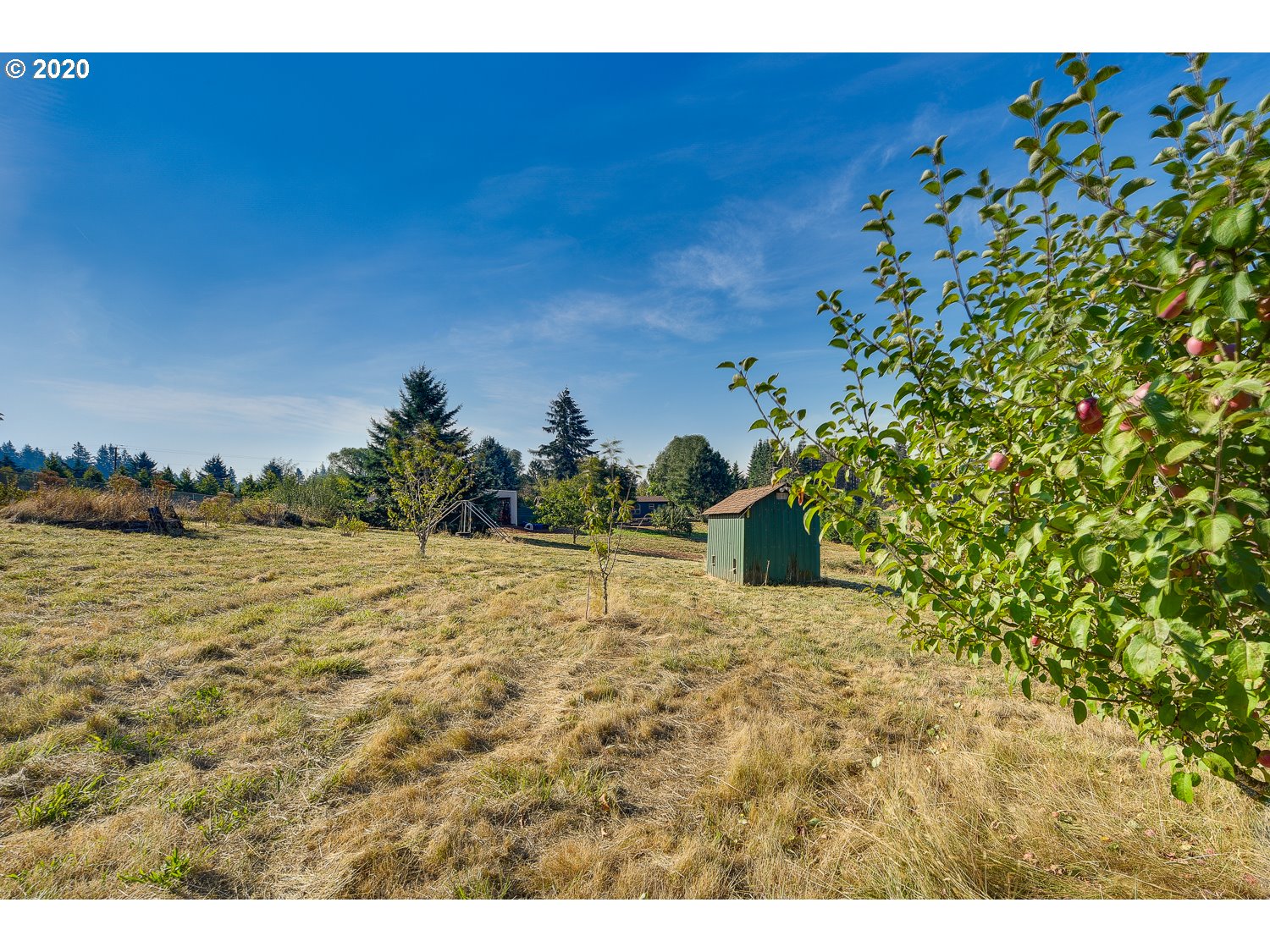 24241 South Larkin Road Beavercreek, OR 97004 - Photo 25 of 32 Gallery Image 25