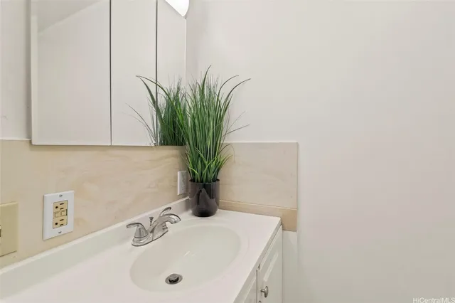 a bathroom with a sink a mirror and a potted plant