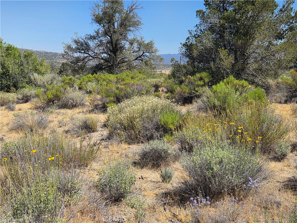 37310 Bohlen Road Anza, CA 92539 - Photo 9 of 11