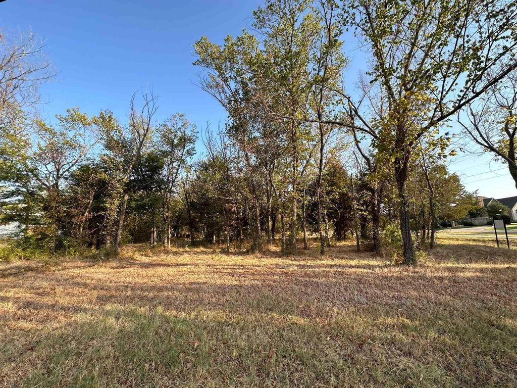 1145 East Dove Road Southlake, TX 76092 - Photo 1 of 1 a view of outdoor space with trees