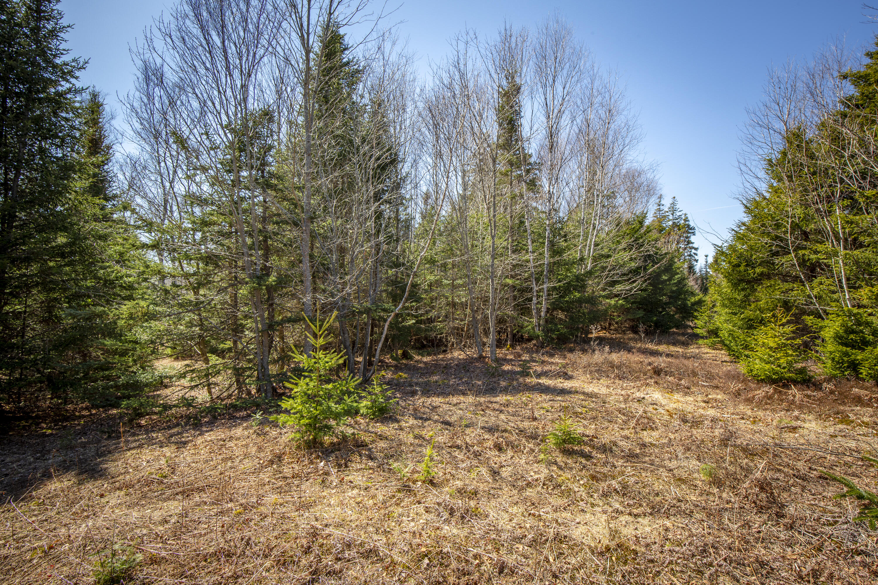 Lot C Lang Road Tenants Harbor, ME 04860 - Photo 12 of 26 12-LotC-LangRd-StGeorge-KS