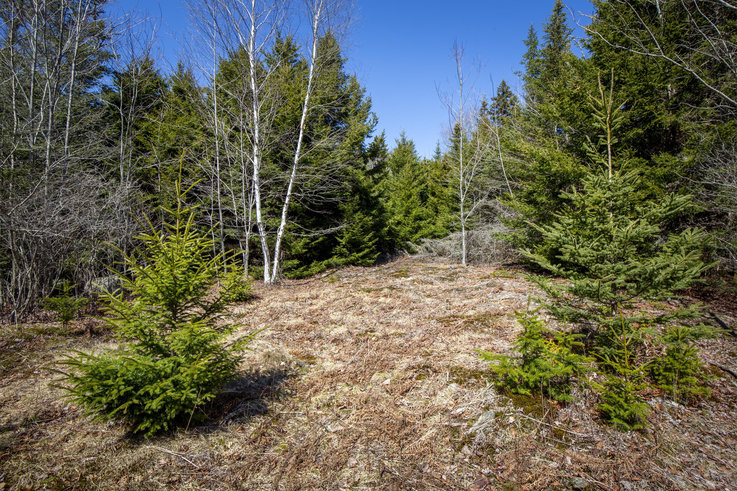 Lot C Lang Road Tenants Harbor, ME 04860 - Photo 13 of 26 13-LotC-LangRd-StGeorge-KS