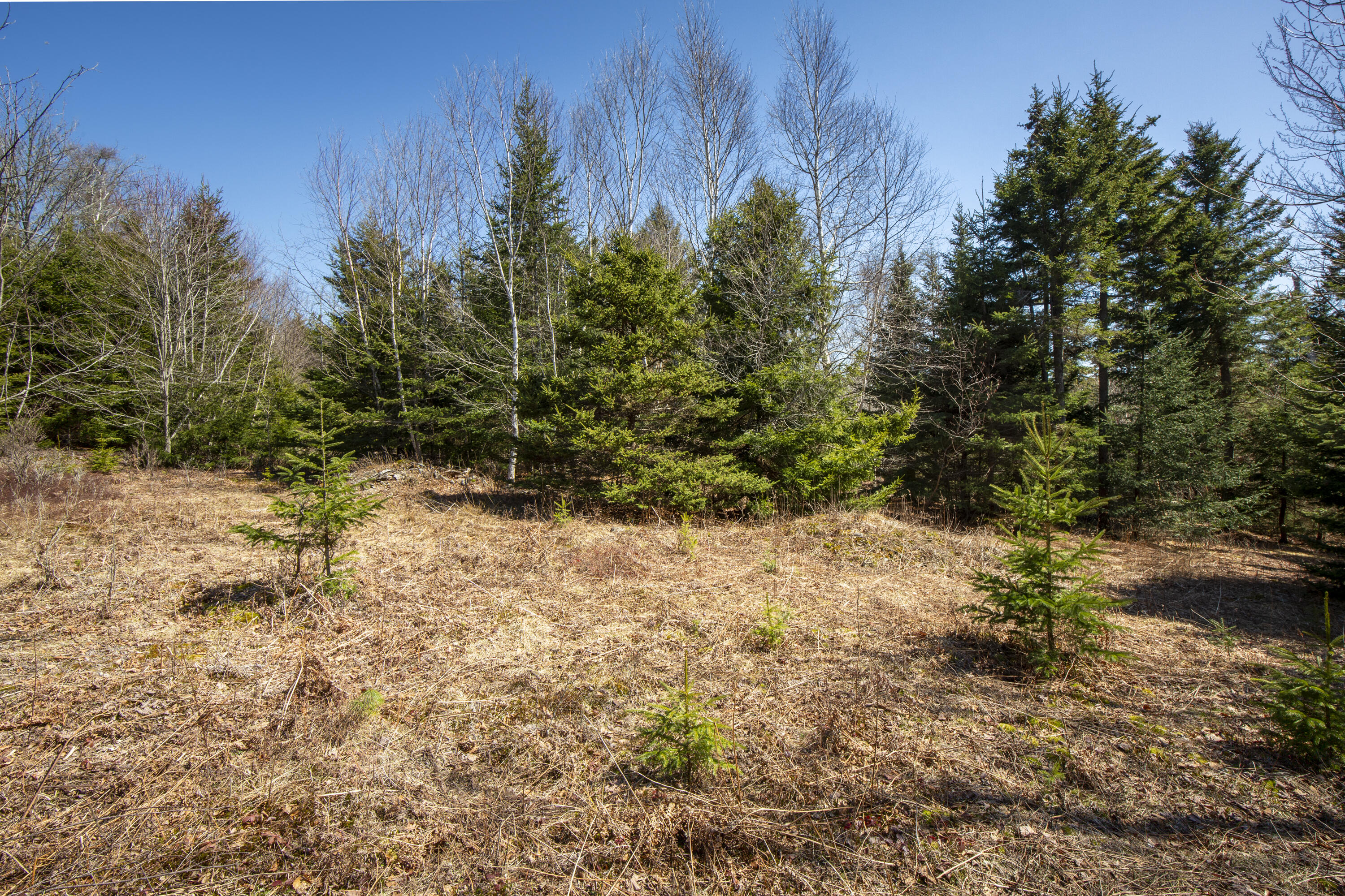Lot C Lang Road Tenants Harbor, ME 04860 - Photo 14 of 26 14-LotC-LangRd-StGeorge-KS