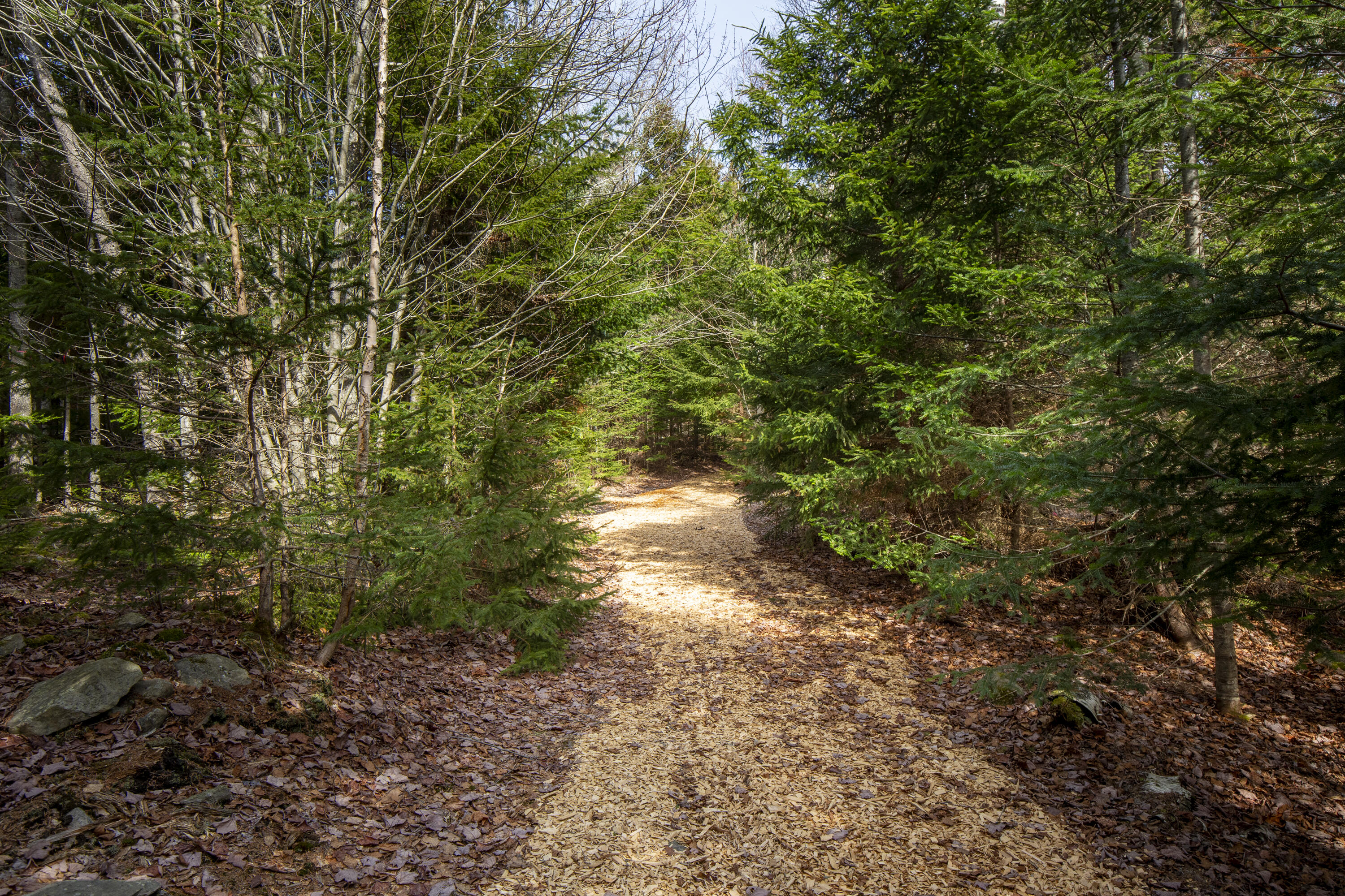 Lot C Lang Road Tenants Harbor, ME 04860 - Photo 15 of 26 15-LotC-LangRd-StGeorge-KS