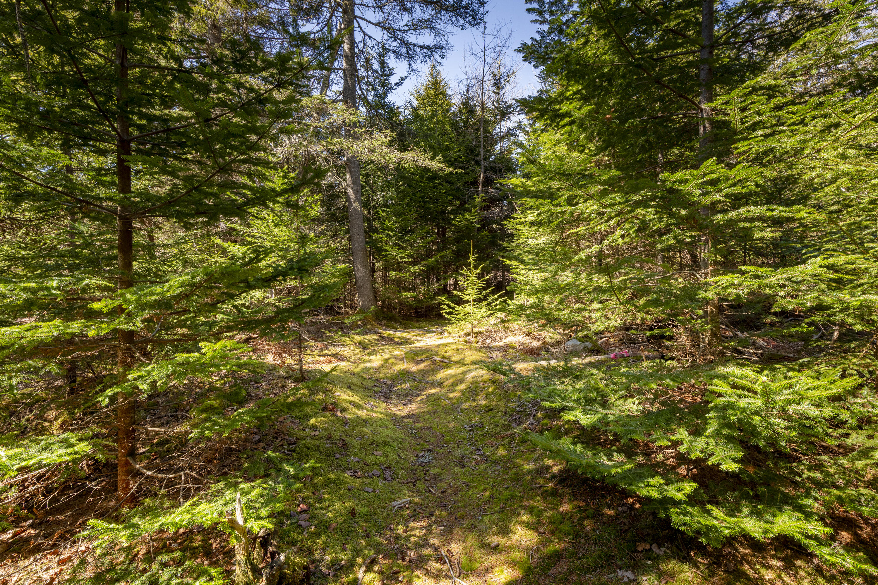 Lot C Lang Road Tenants Harbor, ME 04860 - Photo 18 of 26 18-LotC-LangRd-StGeorge-KS