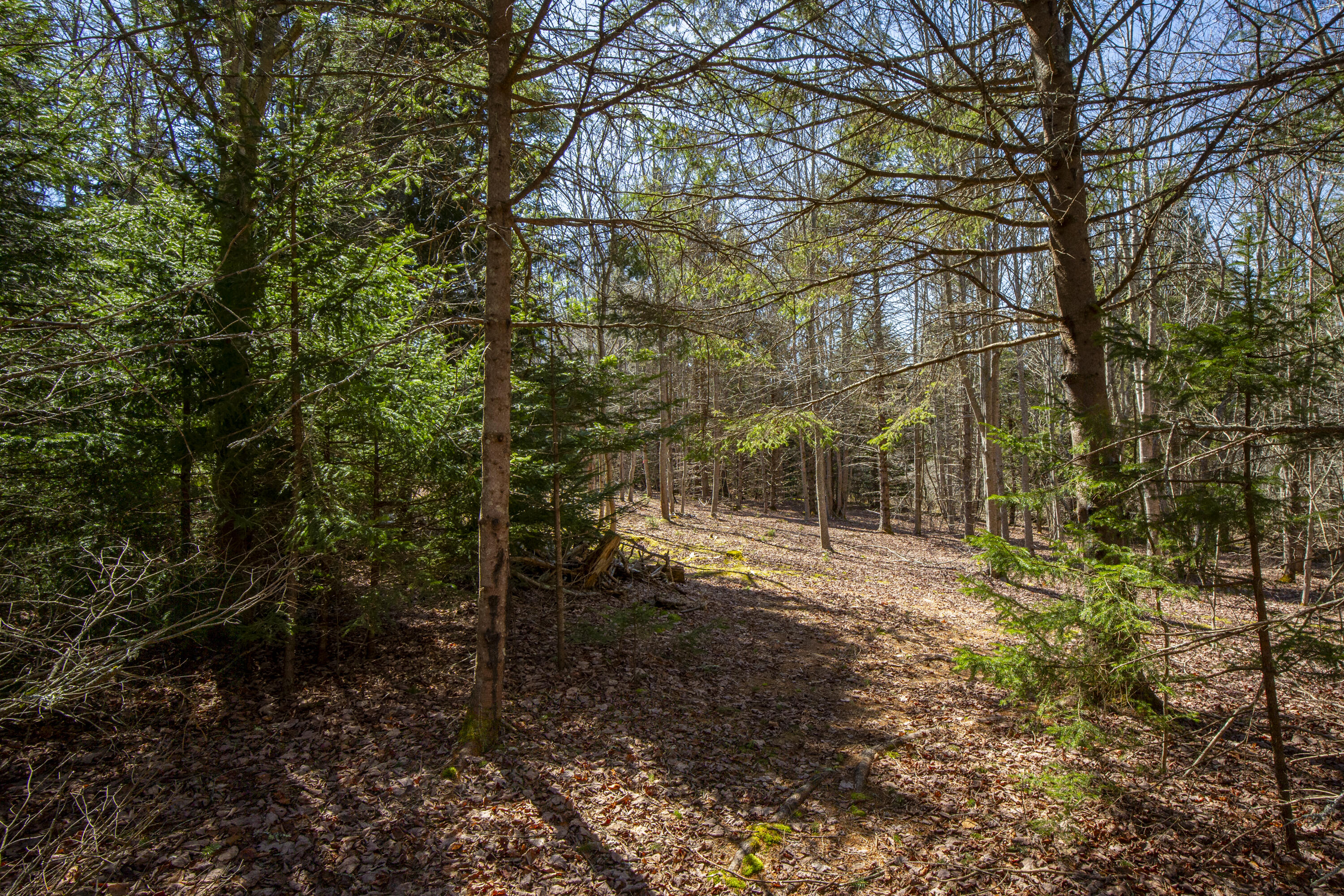 Lot C Lang Road Tenants Harbor, ME 04860 - Photo 20 of 26 38-LotC-LangRd-StGeorge-KS