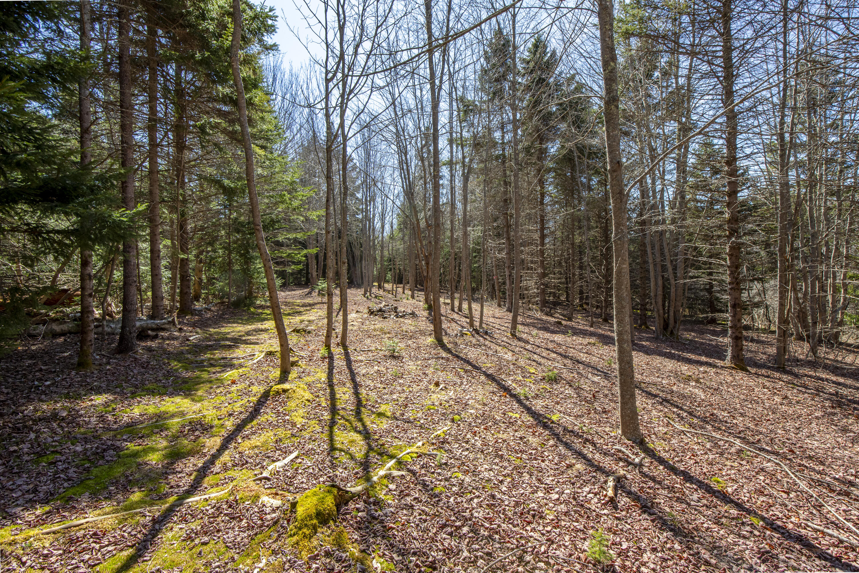 Lot C Lang Road Tenants Harbor, ME 04860 - Photo 21 of 26 39-LotC-LangRd-StGeorge-KS