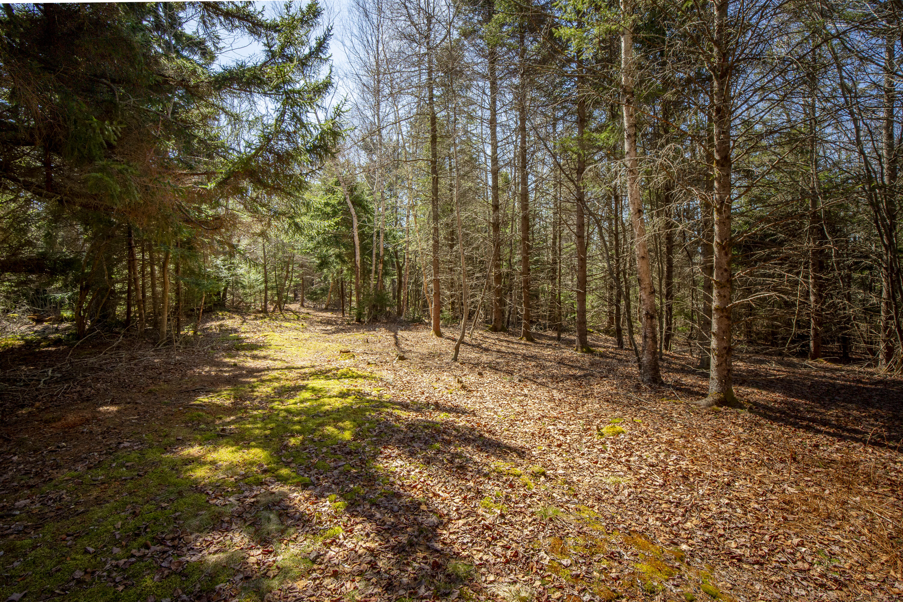 Lot C Lang Road Tenants Harbor, ME 04860 - Photo 22 of 26 40-LotC-LangRd-StGeorge-KS