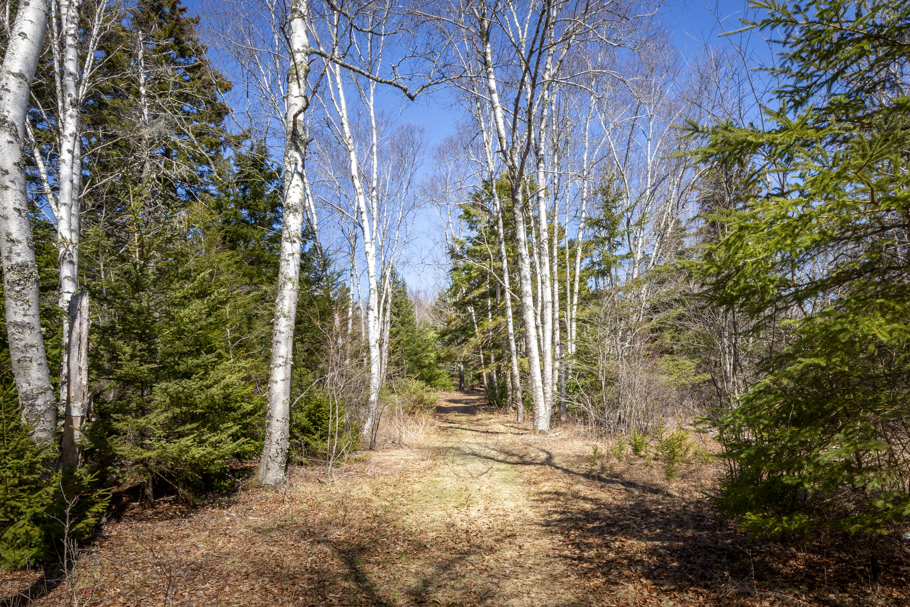 Lot C Lang Road Tenants Harbor, ME 04860 - Photo 7 of 26 07-LotC-LangRd-StGeorge-KS