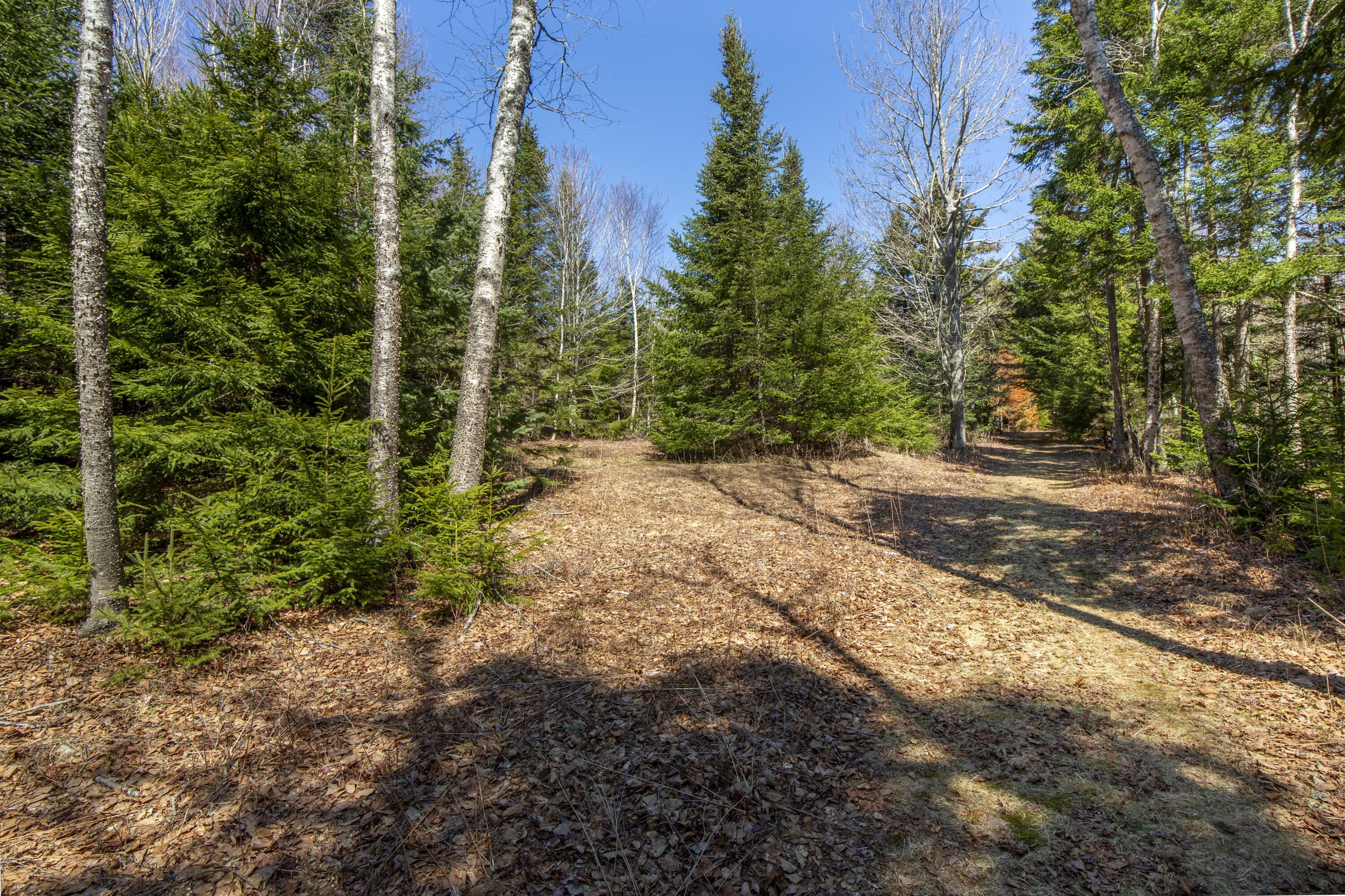 Lot C Lang Road Tenants Harbor, ME 04860 - Photo 8 of 26 08-LotC-LangRd-StGeorge-KS