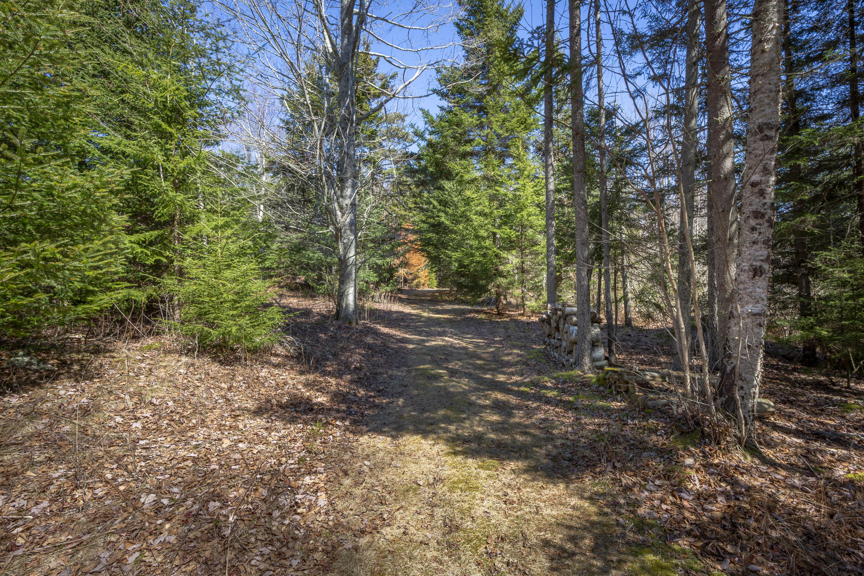Lot C Lang Road Tenants Harbor, ME 04860 - Photo 9 of 26 09-LotC-LangRd-StGeorge-KS