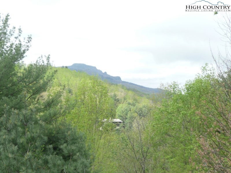 117 Buckeye Boone, NC 28607 - Photo 17 of 17 Gallery Image 17