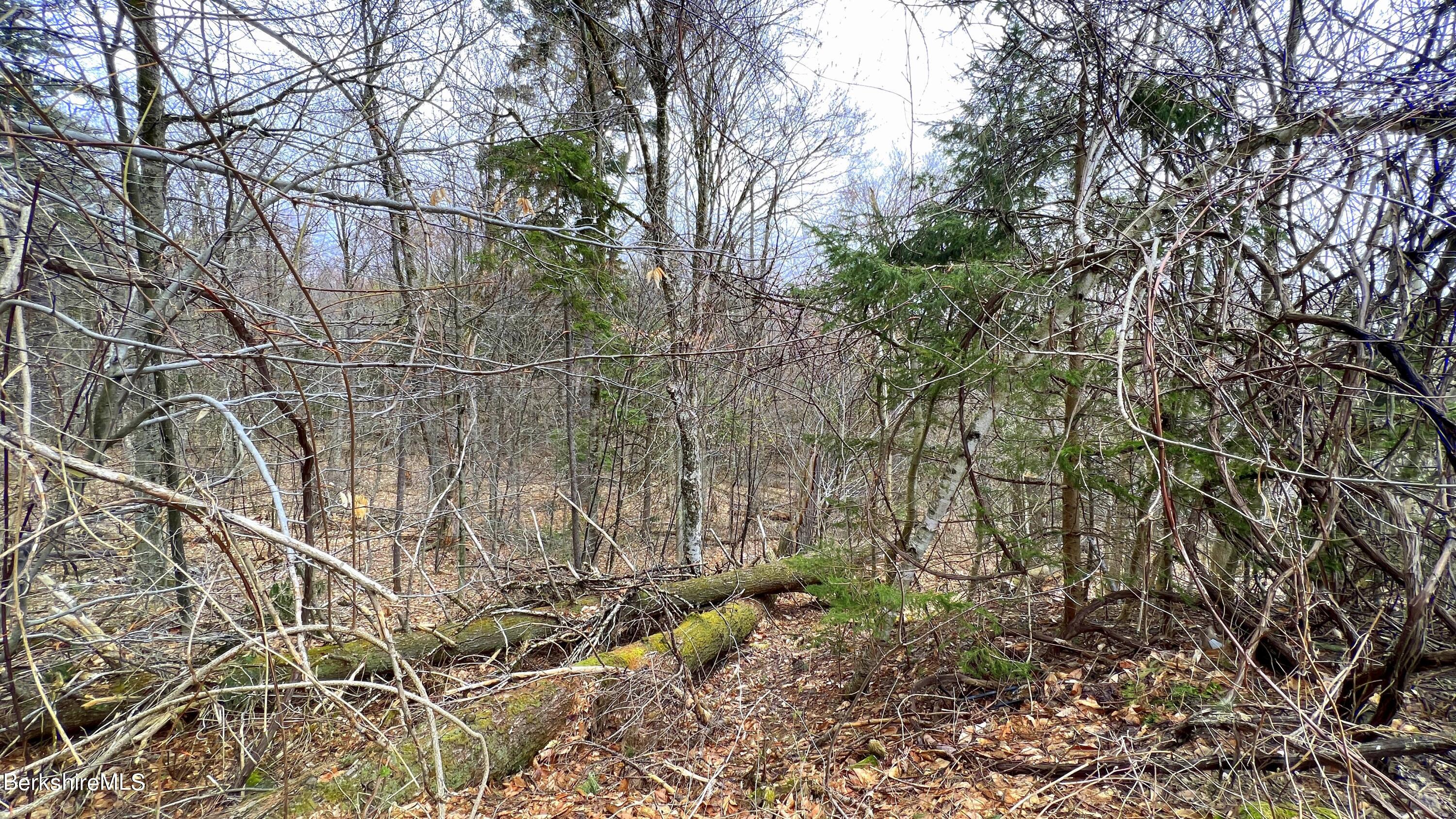 Lot9 A Perch Close Close, Unit CLOSE Becket, MA 01223 - Photo 6 of 10 a backyard of a house with lots of green space