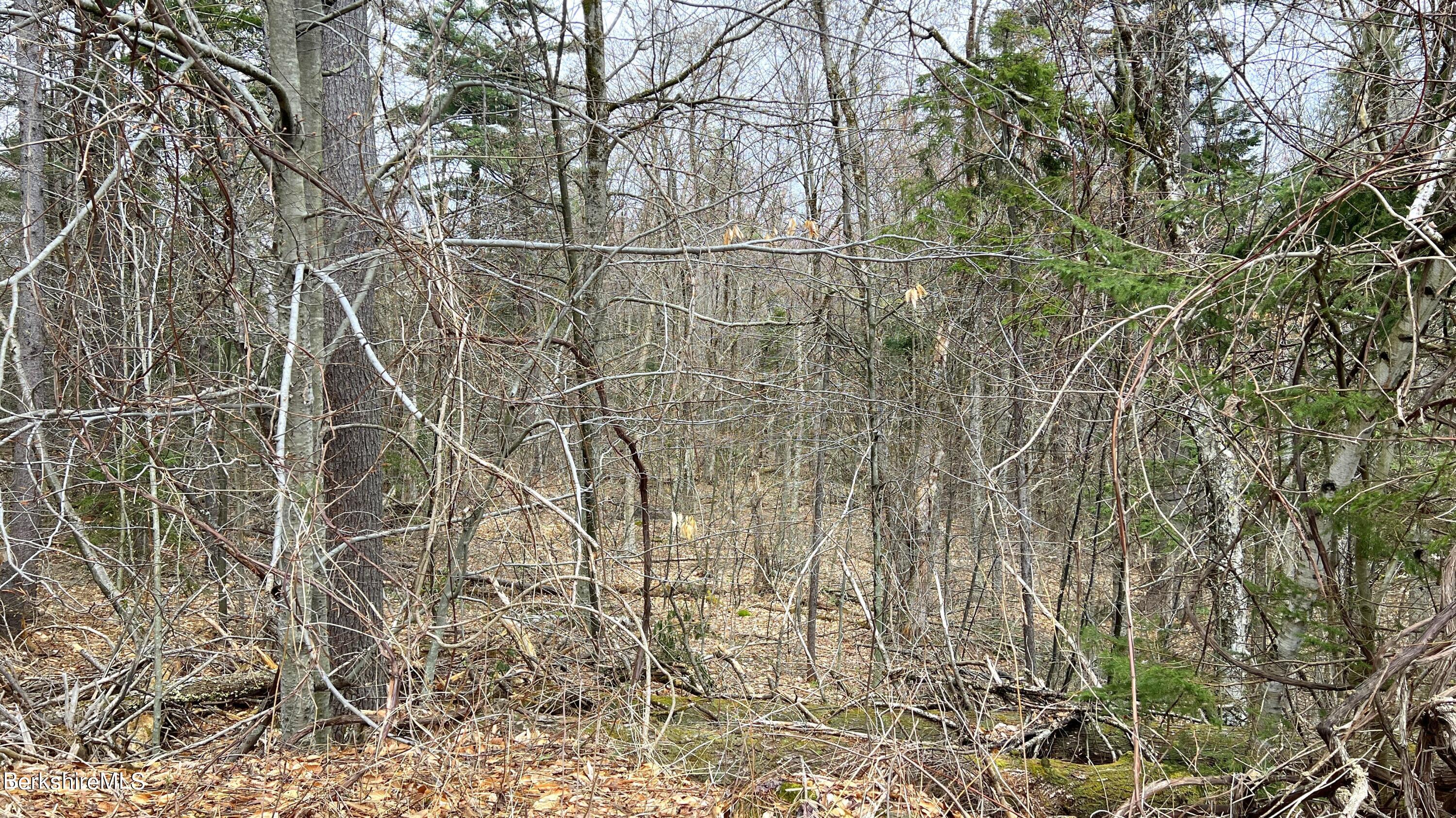 Lot9 A Perch Close Close, Unit CLOSE Becket, MA 01223 - Photo 7 of 10 a bathroom with a shower and a tree