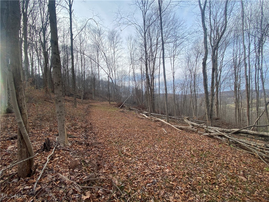 Hoot Owl Ridge Road Caldwell, OH 43724 - Photo 13 of 40 View of local wilderness