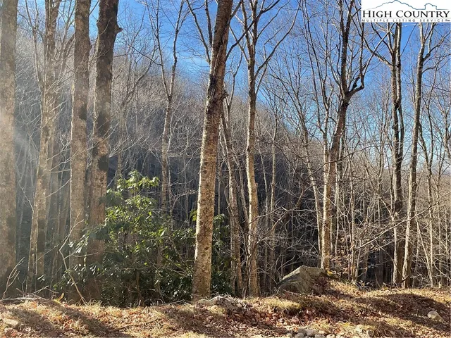 a view of a backyard of the house