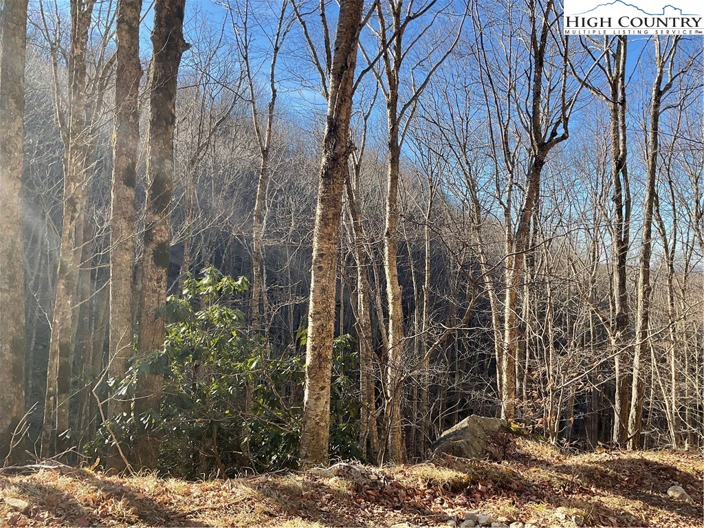 117 Smoketree Road Beech Mountain, NC 28604 - Photo 4 of 4