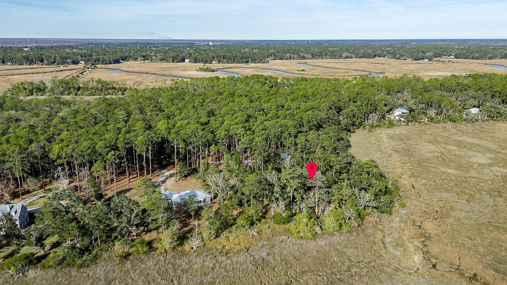 0 Oak Bluff Road Southeast McRae-Helena, GA 31037 - Photo 6 of 47