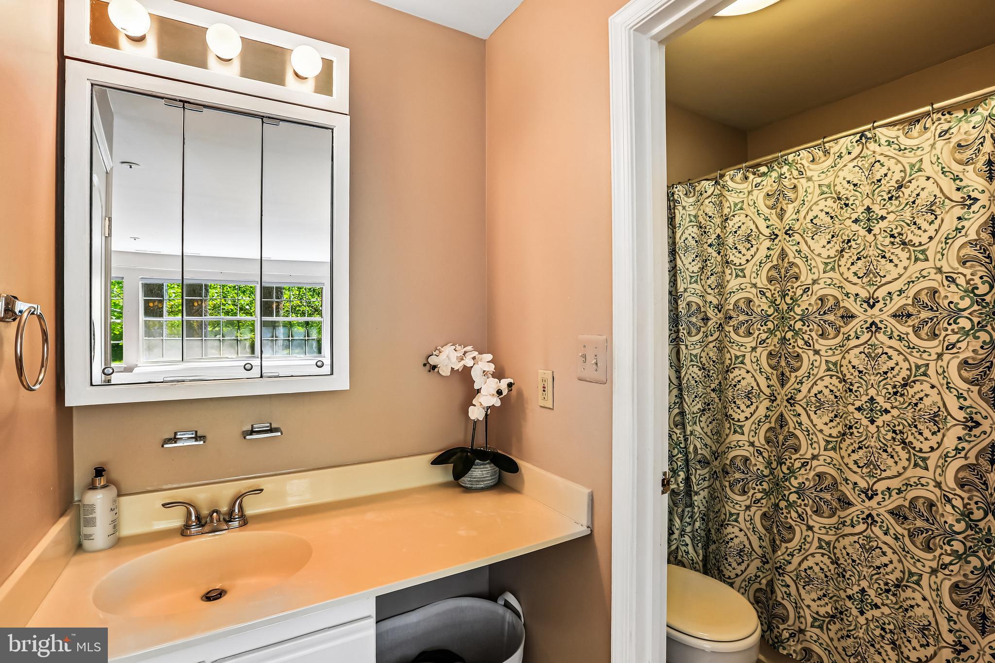 8613 Falls Run Road, Unit E Ellicott City, MD 21043 - Photo 17 of 20 Primary Bathroom