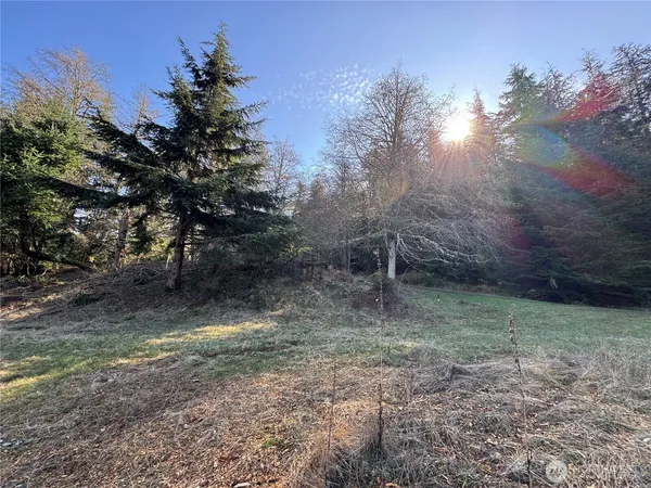 a view of a yard with a tree