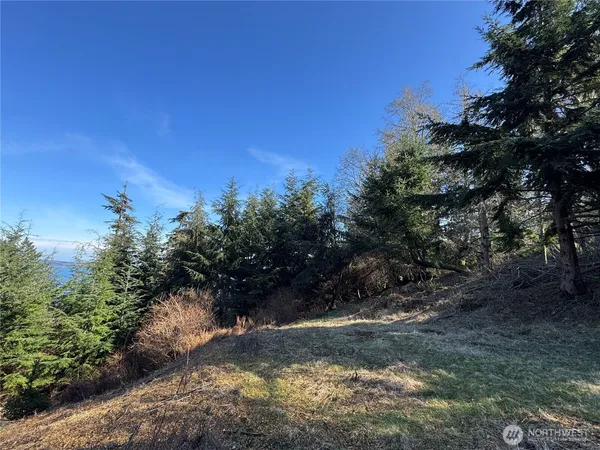 $145,000 | 36 Coastline Drive, Orcas Island, WA 98279