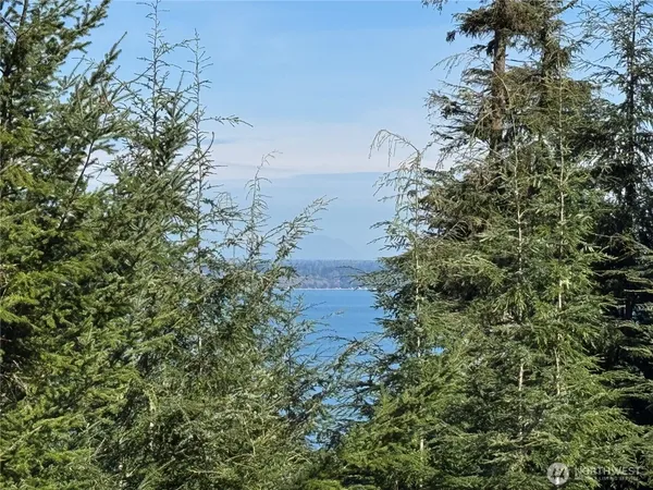 a view of a lake with a yard