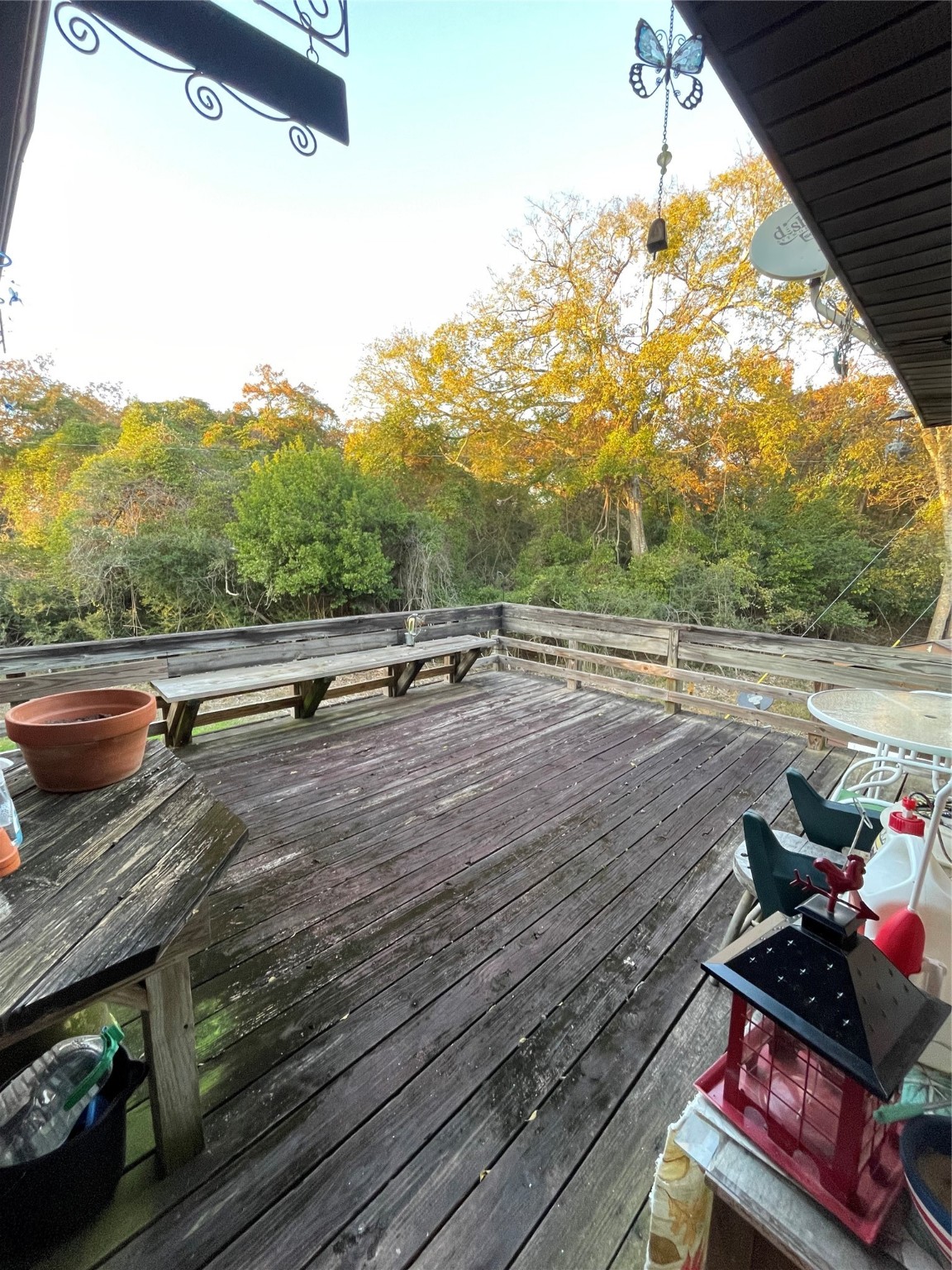 24 Daytona Lane Normangee, TX 77871 - Photo 17 of 26 View from the back deck is very private with the woods.