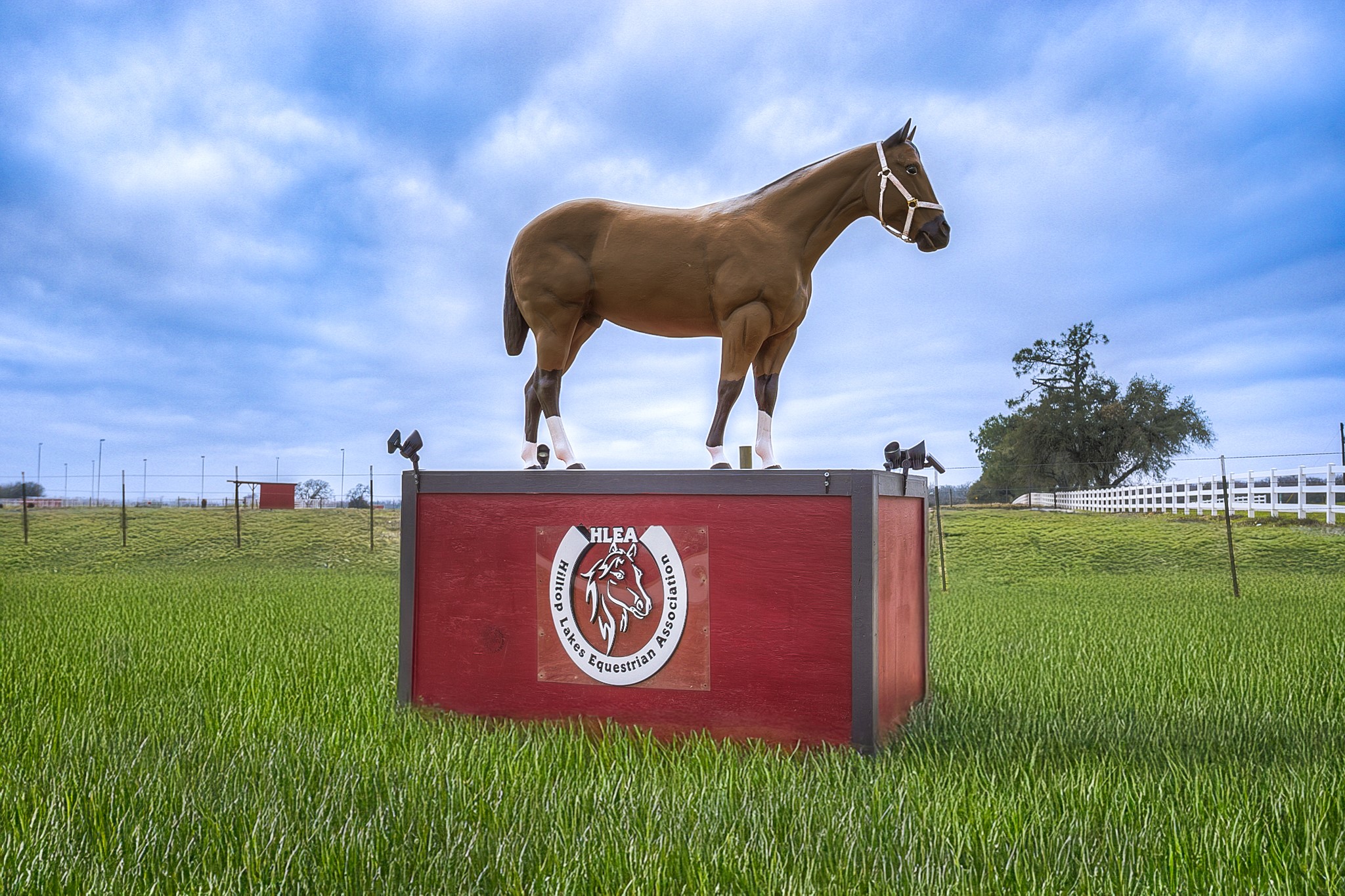 24 Daytona Lane Normangee, TX 77871 - Photo 25 of 26 Horse Stables