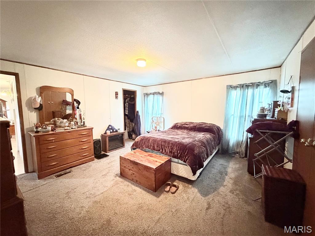 2809 County Road 115 Road Annapolis, MO 63620 - Photo 6 of 28