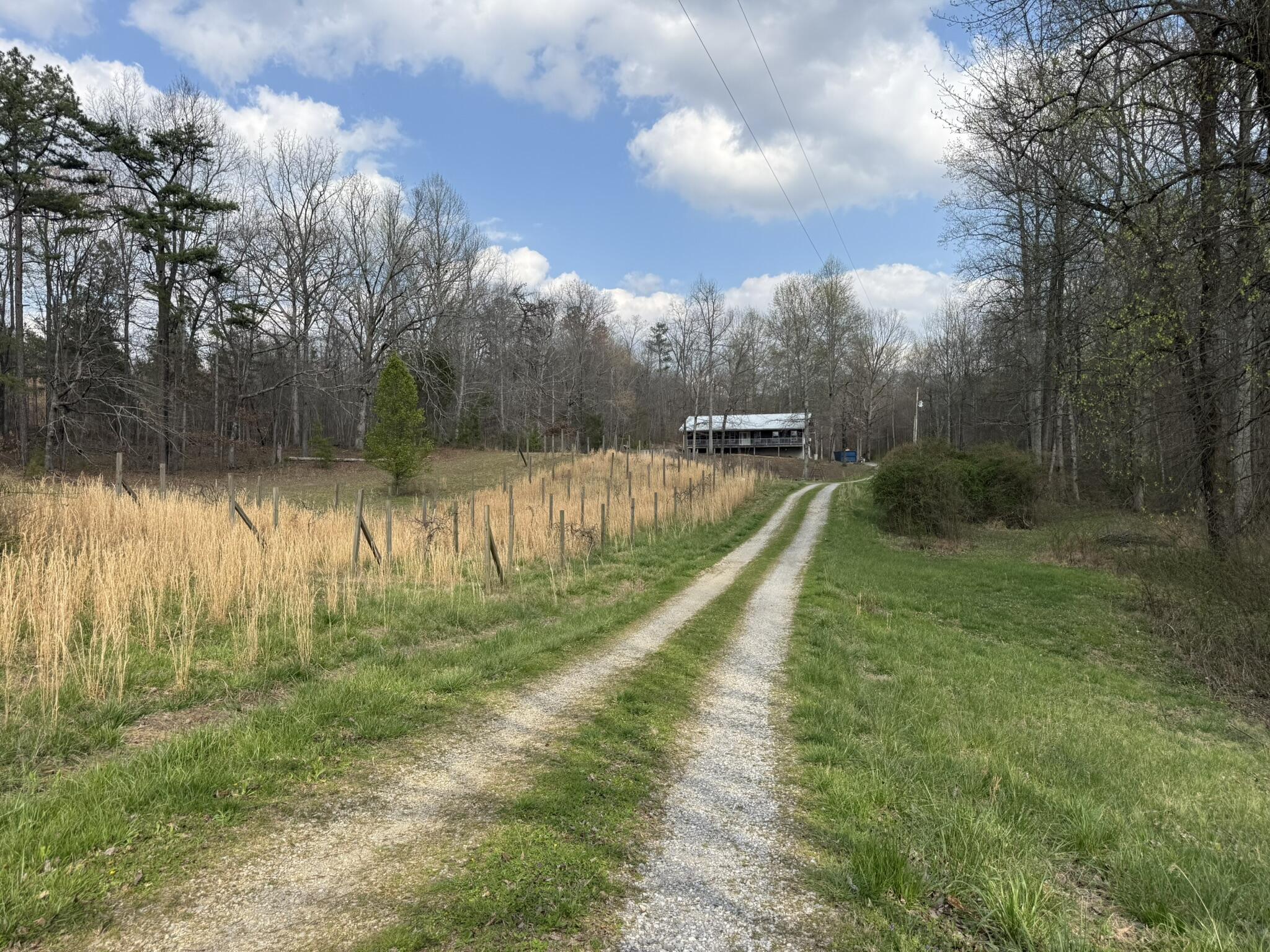 1932 Co Road Bryant, AL 35958 - Photo 1 of 30 IMG_1307