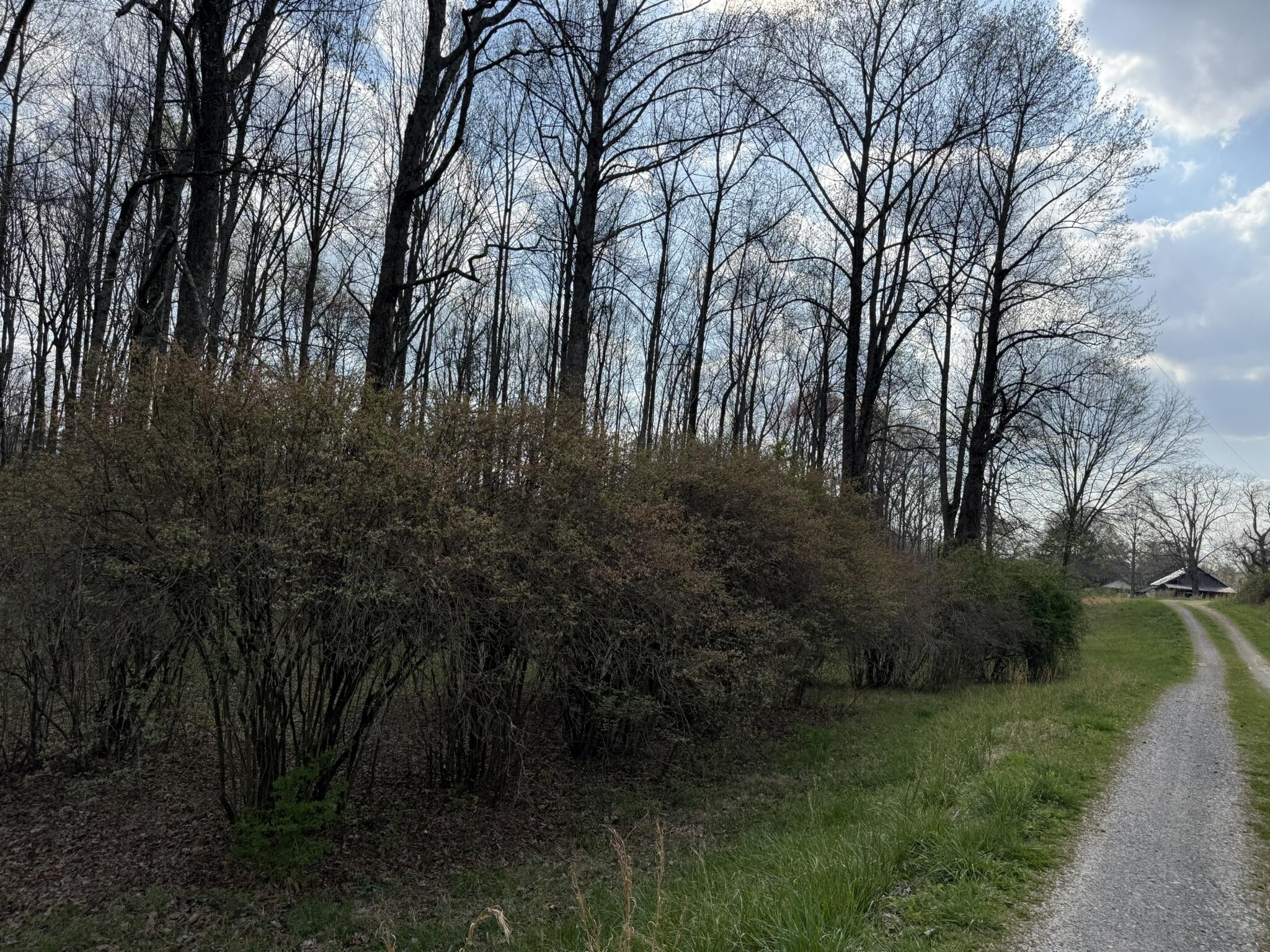 1932 Co Road Bryant, AL 35958 - Photo 26 of 30 IMG_1306