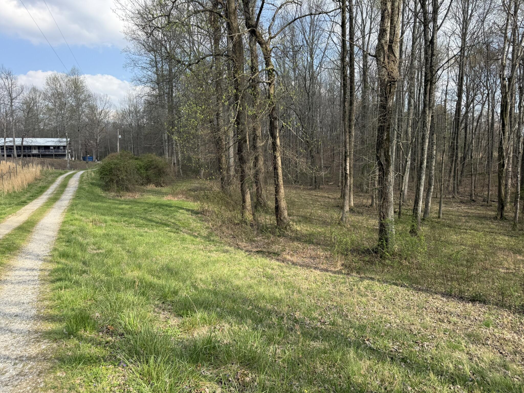 1932 Co Road Bryant, AL 35958 - Photo 27 of 30 IMG_1308