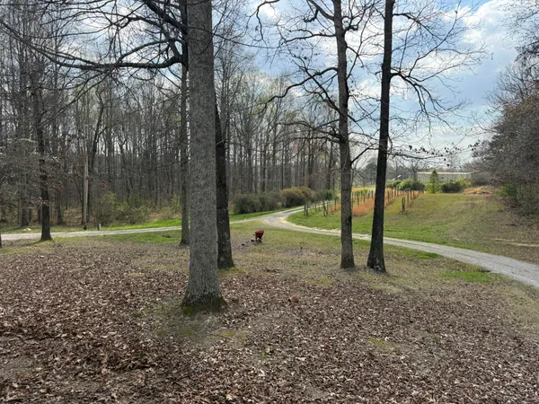 $250,000 | 1932 Co Road, Bryant, AL 35958