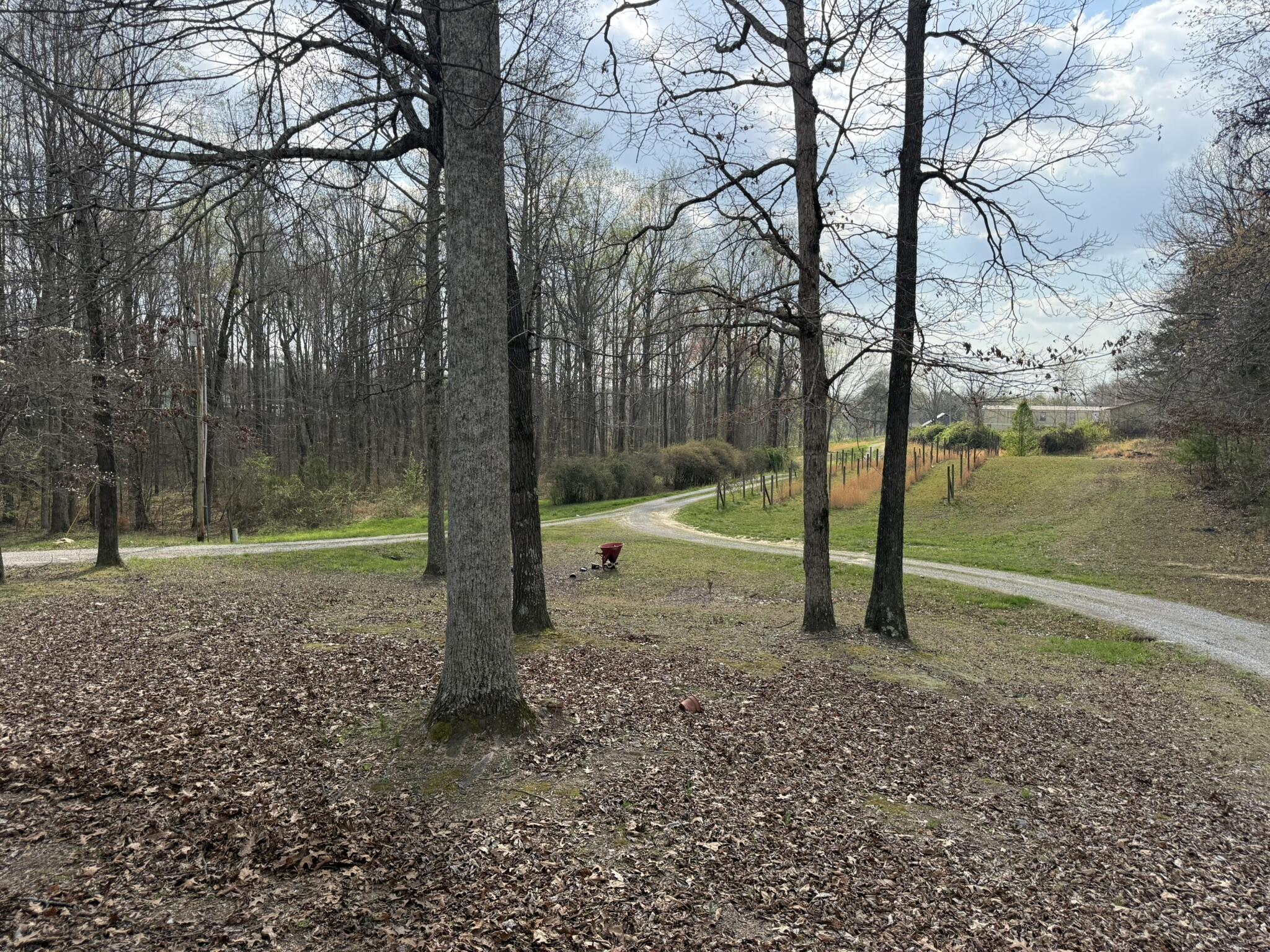 1932 Co Road Bryant, AL 35958 - Photo 3 of 30 IMG_1281