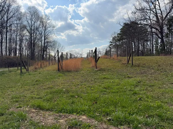 $250,000 | 1932 Co Road, Bryant, AL 35958